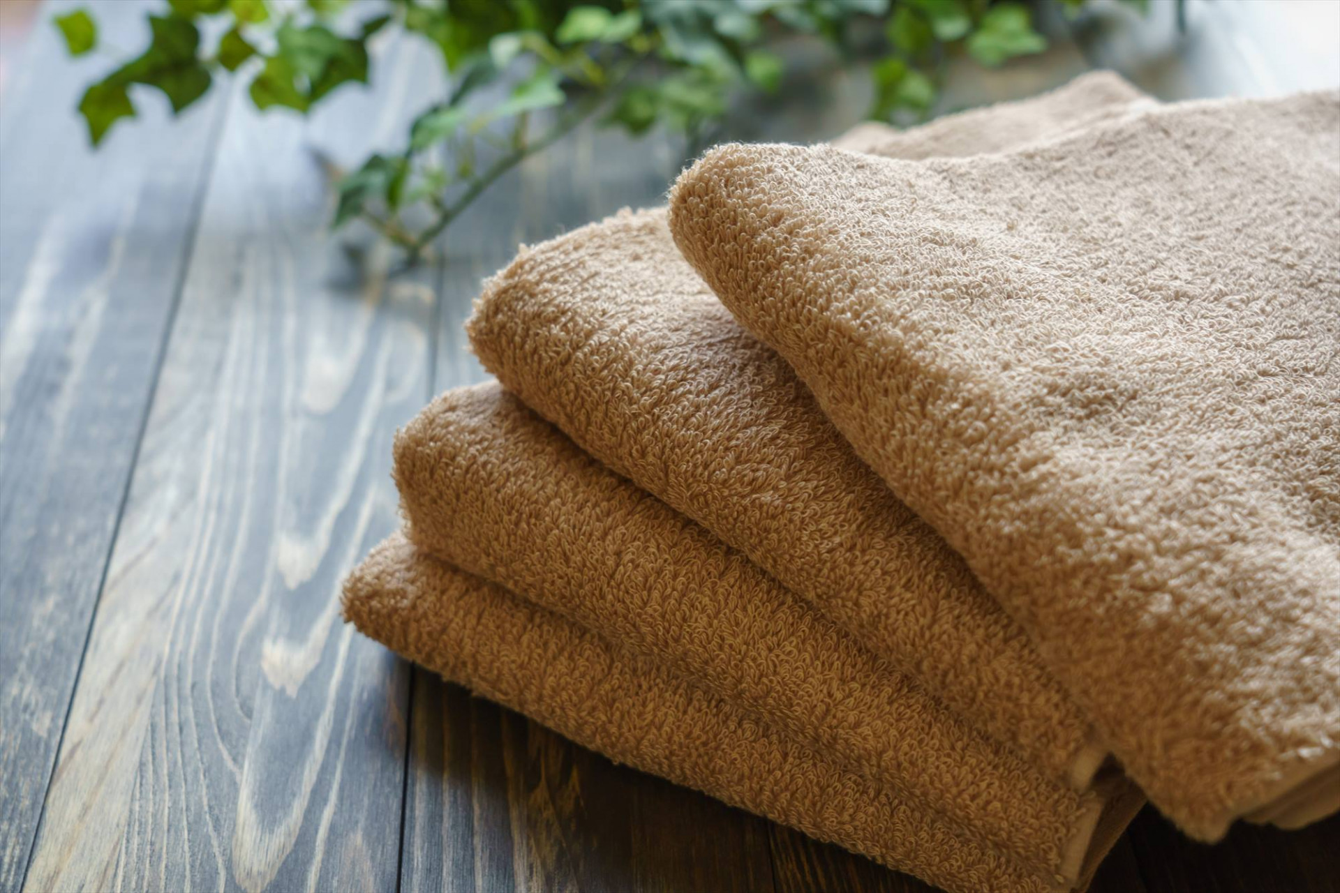 株式会社ユニゾン